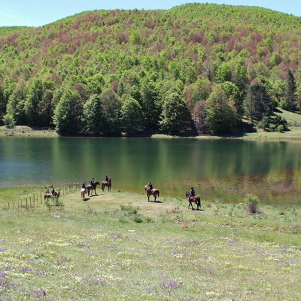 Il Parco Nazionale della Sila