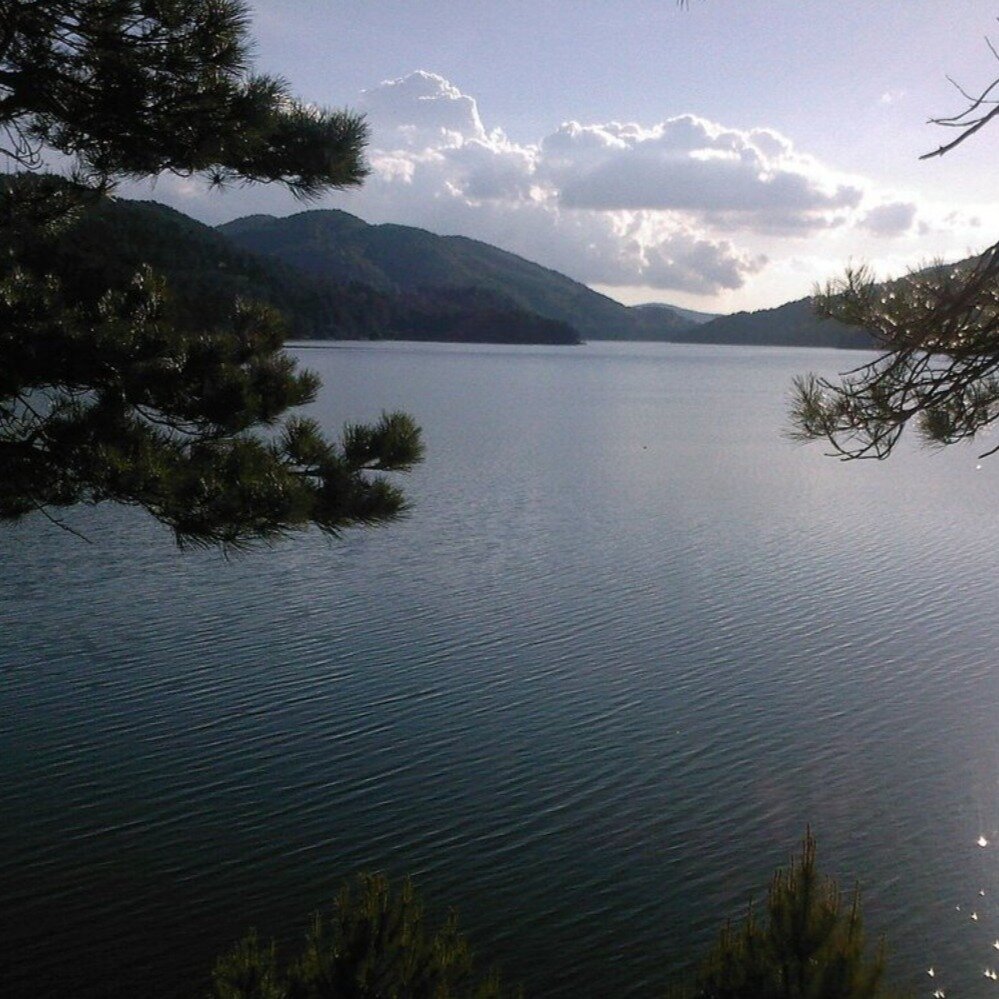 Il Parco Nazionale della Sila