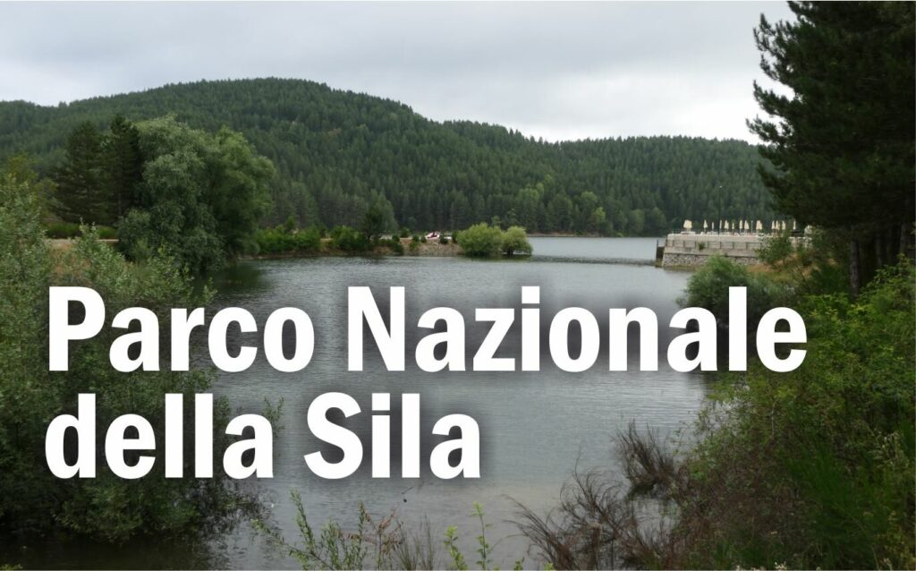 Il Parco Nazionale della Sila