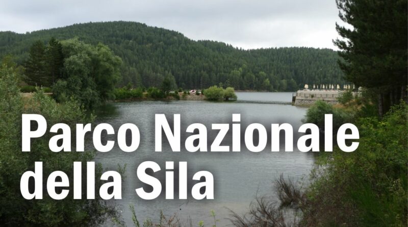 Il Parco Nazionale della Sila