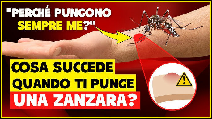 Perchè le zanzare pungono sempre me?