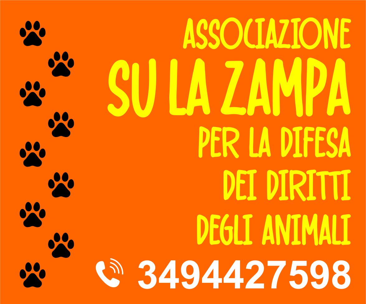 Pubblicità: Associazione Su la Zampa