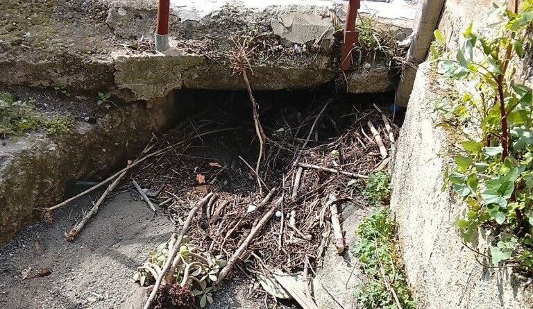 Quartiere Cava, Costanzo: “Via Lago Cecità nel degrado, servono interventi immediati”