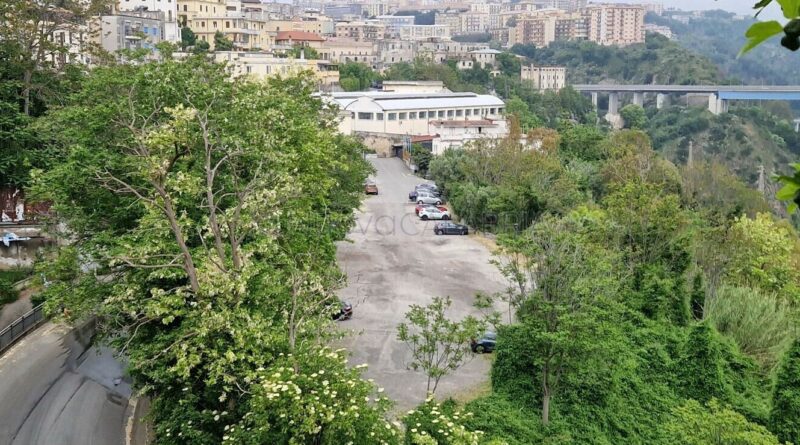 Vicenda Parcheggio Santagata. Palaia: “Davanti al Tar, mettiamo un primo punto fermo che riteniamo molto positivo”
