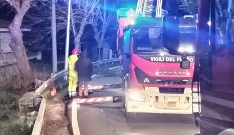 RIMOSSI NEL COMUNE DI TIRIOLO DUE ALBERI DI ALTO FUSTO