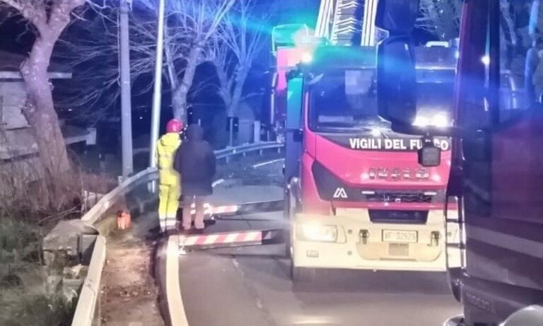 RIMOSSI NEL COMUNE DI TIRIOLO DUE ALBERI DI ALTO FUSTO