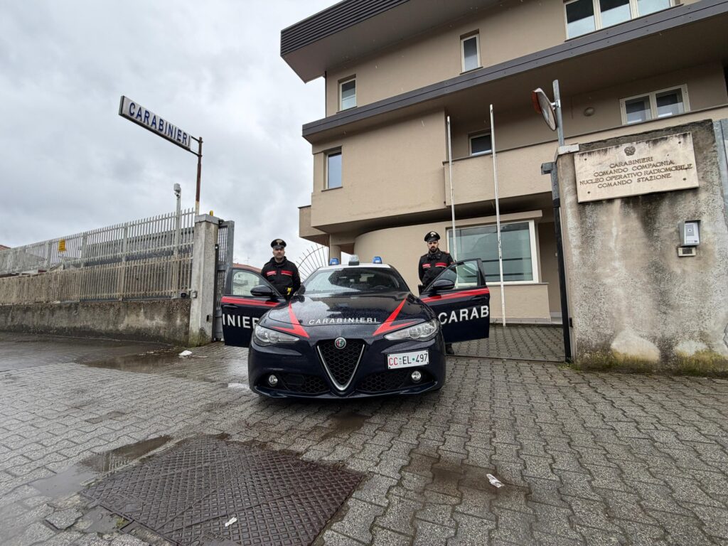 ILLECITA COLTIVAZIONE DI CANAPA INDIANA. QUATTRO PERSONE ARRESTATE DAI CARABINIERI. SEQUESTRATI BENI E CONTI CORRENTI PER UN VALORE DI OLTRE 220.000 EURO.