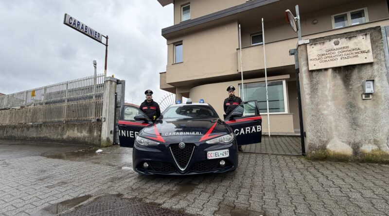 ILLECITA COLTIVAZIONE DI CANAPA INDIANA. QUATTRO PERSONE ARRESTATE DAI CARABINIERI. SEQUESTRATI BENI E CONTI CORRENTI PER UN VALORE DI OLTRE 220.000 EURO.