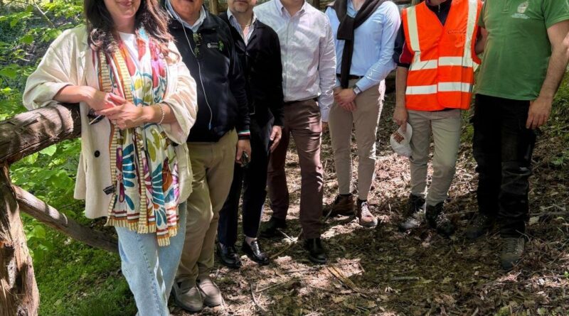 Parco Li Comuni, sopralluogo istituzionale per monitorare la rinascita della Pineta di Siano: lavori in corso, consolidamento dei versanti e nuove prospettive di valorizzazione