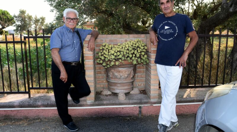 Ad Alta Vista di Zagarise l'operatore economico Antonio Marino dà la disponibilità di piantare un albero per ogni neonato o adottato Iniziativa personale a titolo totalmente gratuito.